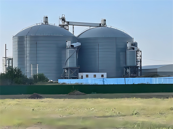 酉阳钢板仓建造施工方案详解